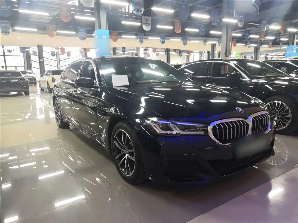 BMW 5 Series New Energy — фото 5