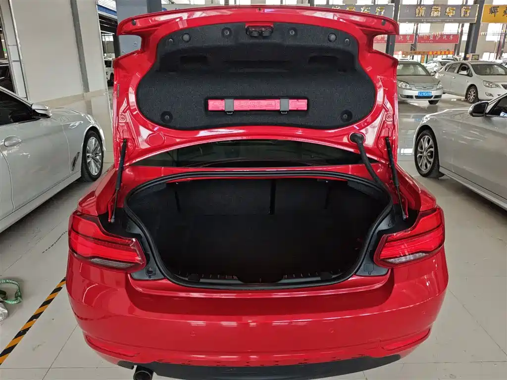 BMW 2 Series (Import) — фото 16