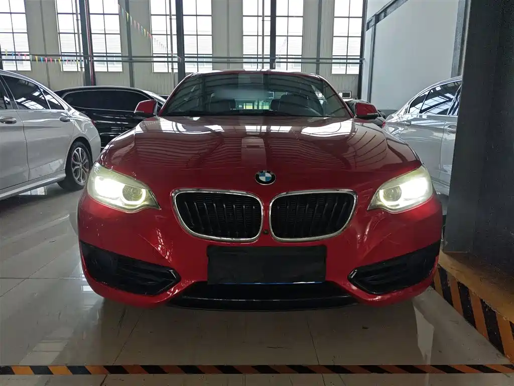 BMW 2 Series (Import) — фото 3