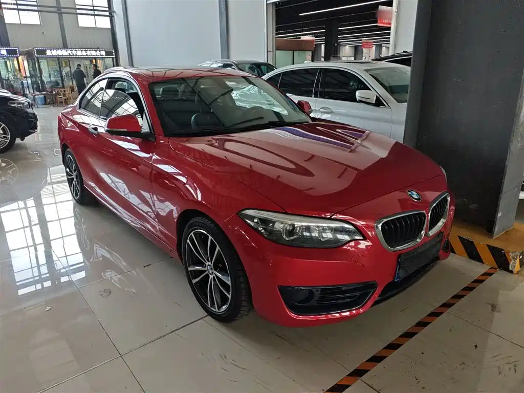 BMW 2 Series (Import) — фото 23