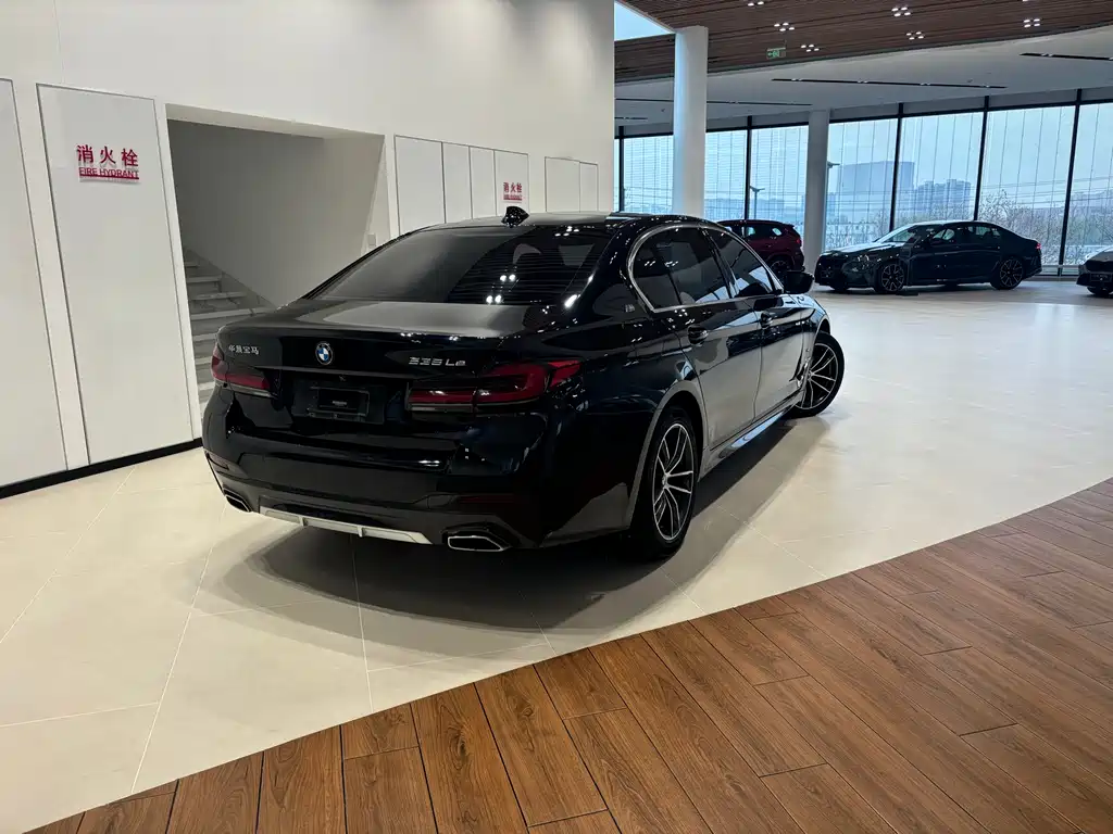 BMW 5 Series New Energy — фото 4