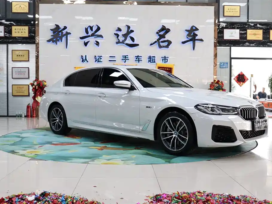 BMW 5 Series New Energy — фото 3