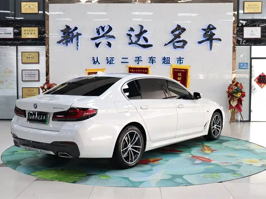 BMW 5 Series New Energy — фото 5