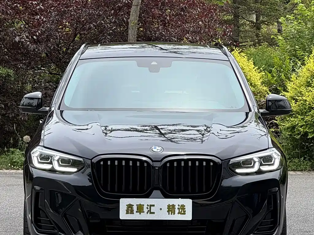 BMW X3 — фото 3