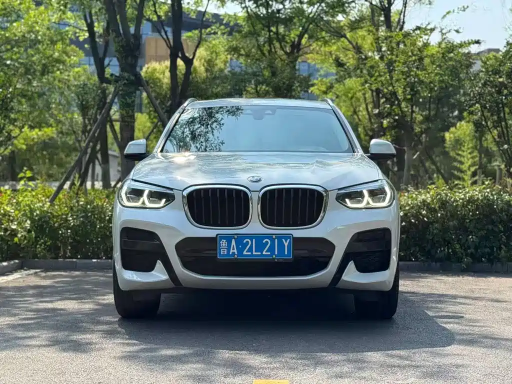 BMW X3 — фото 2