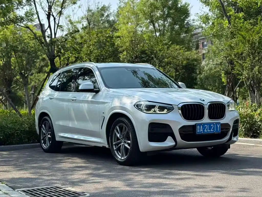 BMW X3 — фото 3