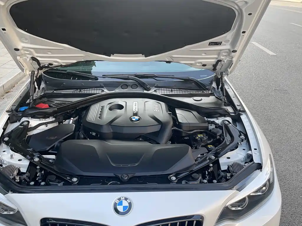 BMW 2 Series (Import) — фото 5