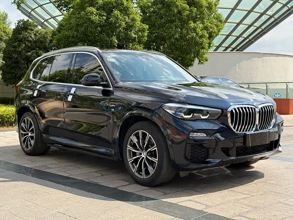 BMW X5 (Import) — фото 3