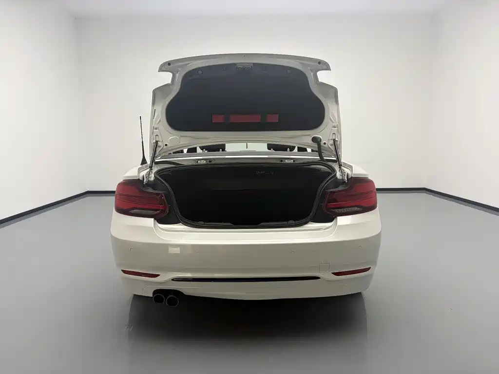 BMW 2 Series (Import) — фото 17