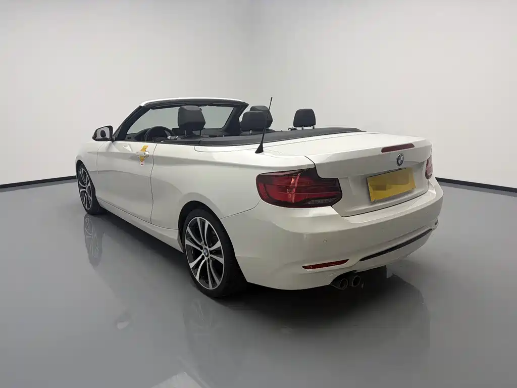 BMW 2 Series (Import) — фото 6