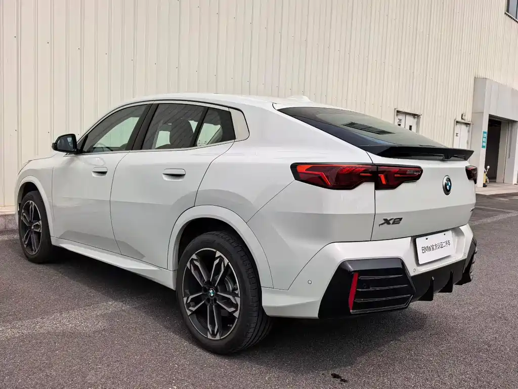 BMW X2 (Import) — фото 9