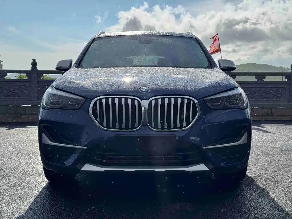 BMW X1 — фото 2