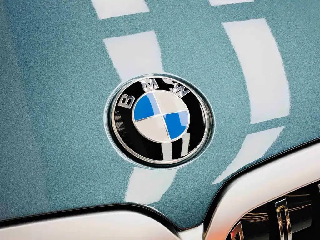 BMW X7 — фото 25