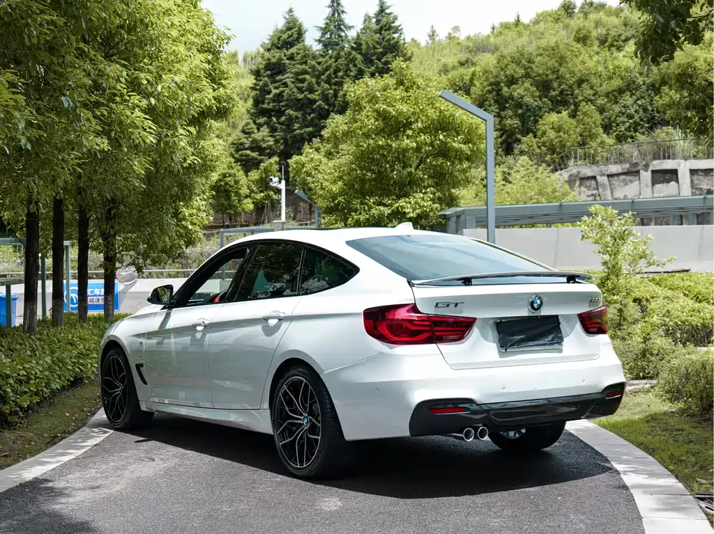 BMW 3 Series GT — фото 6