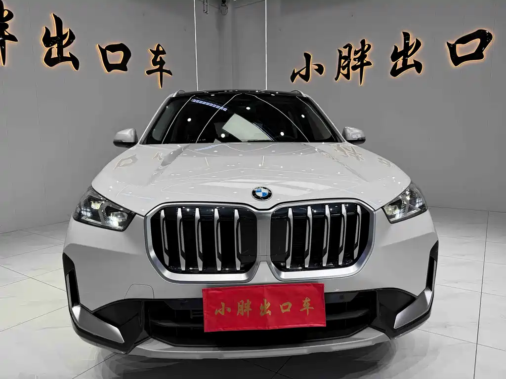 BMW X1 — фото 2
