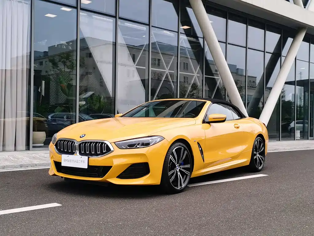 BMW 8 Series — фото 6