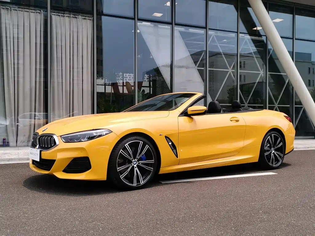 BMW 8 Series — фото 9