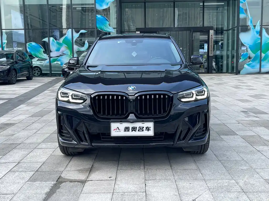 BMW X3 — фото 2