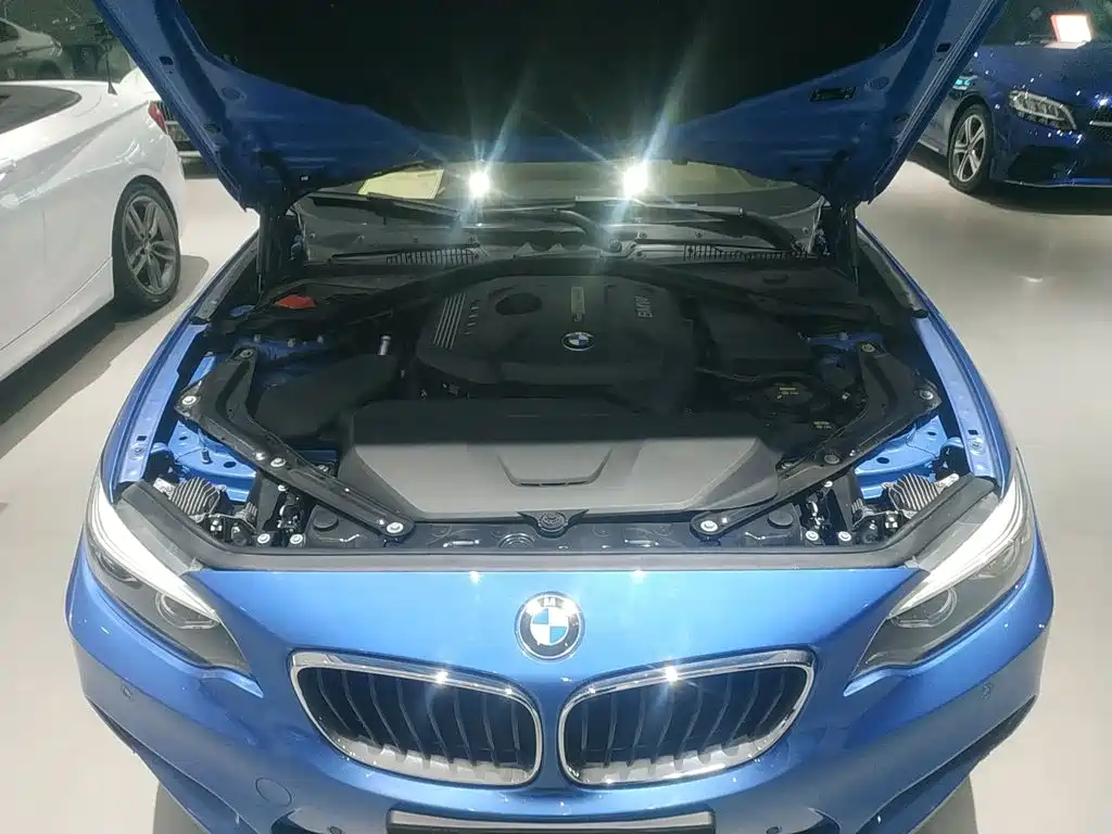 BMW 2 Series (Import) — фото 10