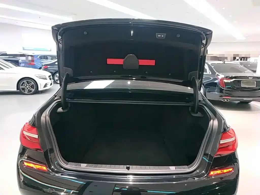BMW 7 Series — фото 19