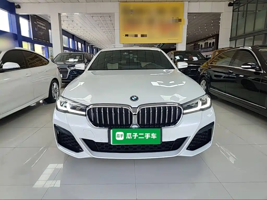 BMW 5 Series New Energy — фото 3