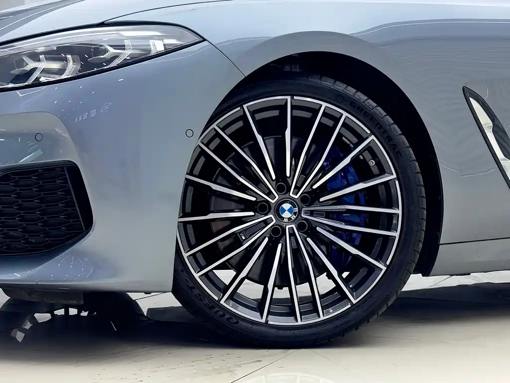 BMW 8 Series — фото 11