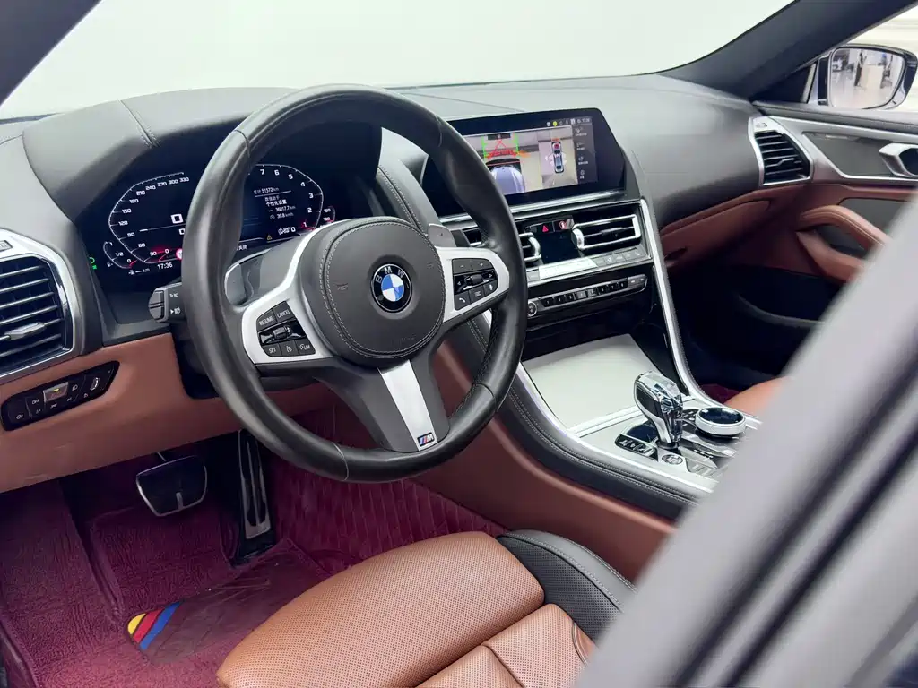 BMW 8 Series — фото 13