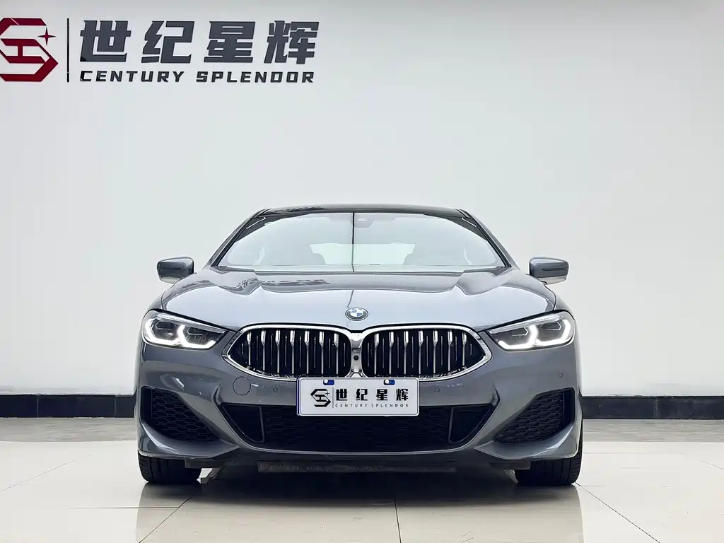 BMW 8 Series — фото 3