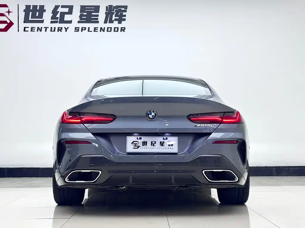 BMW 8 Series — фото 6