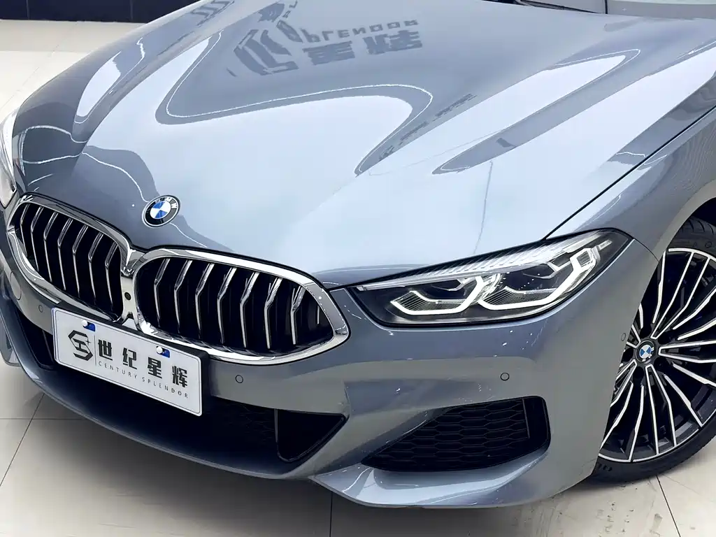 BMW 8 Series — фото 10