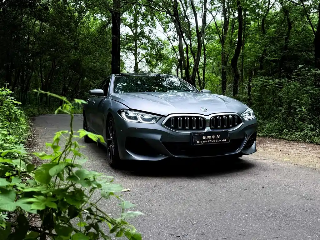 BMW 8 Series — фото 4
