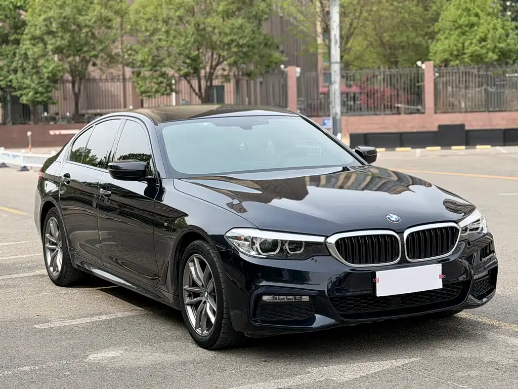 BMW 5 Series (Import) — фото 2