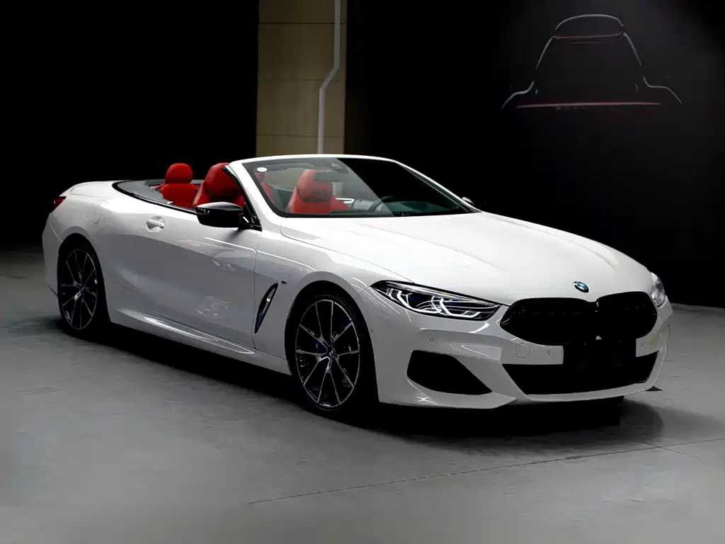 BMW 8 Series — фото 4