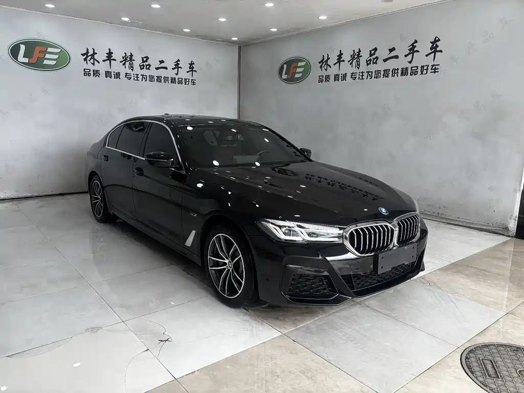 BMW 5 Series New Energy — фото 3