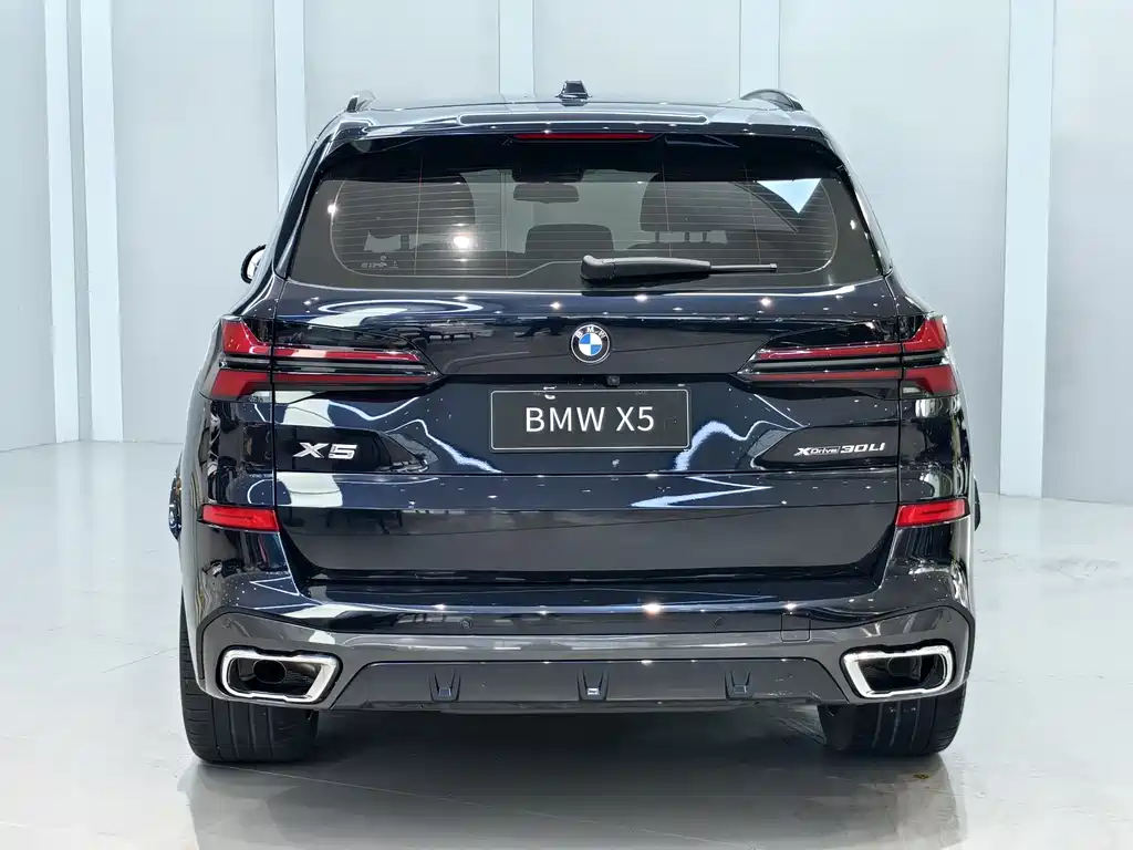 BMW X5 — фото 4