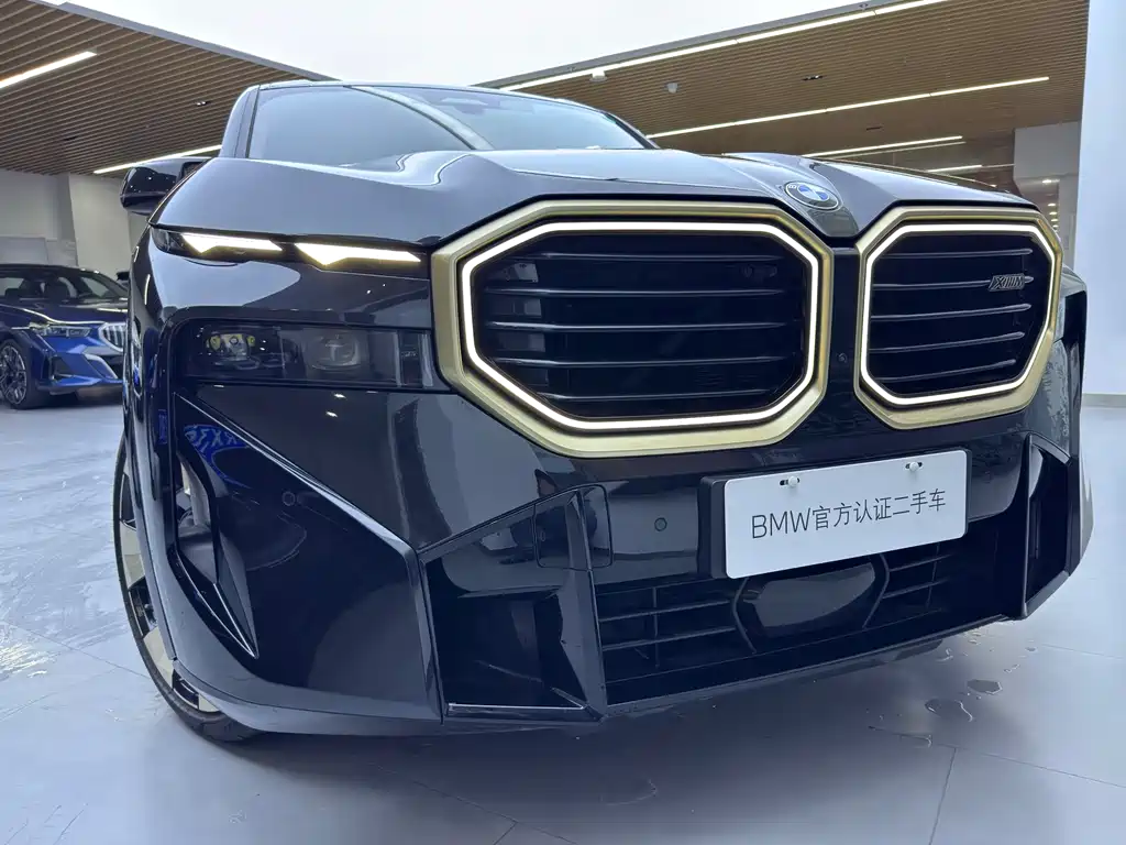 BMW XM — фото 5