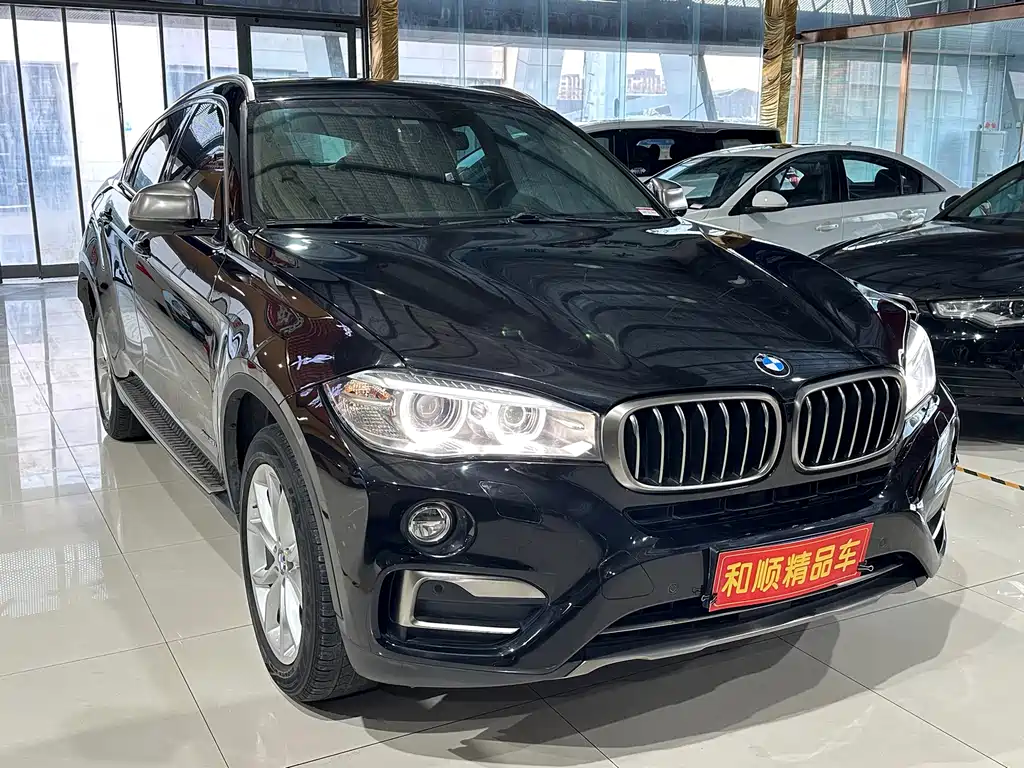 BMW X6 — фото 5