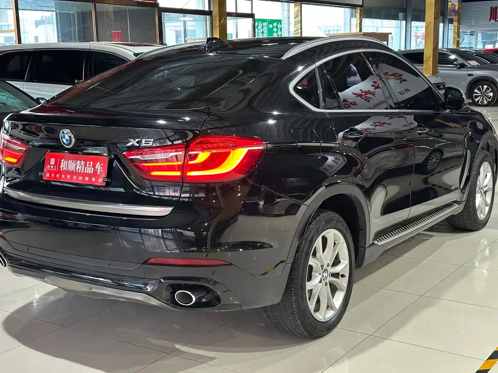 BMW X6 — фото 9