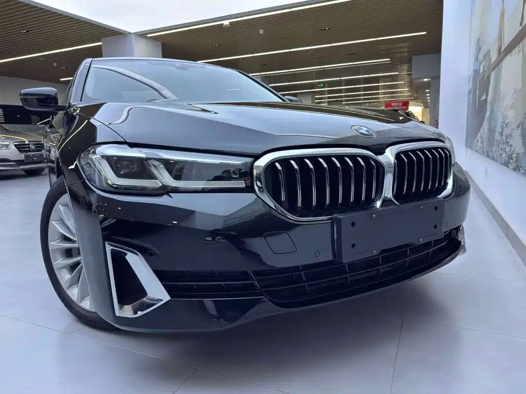 BMW 5 Series New Energy — фото 6