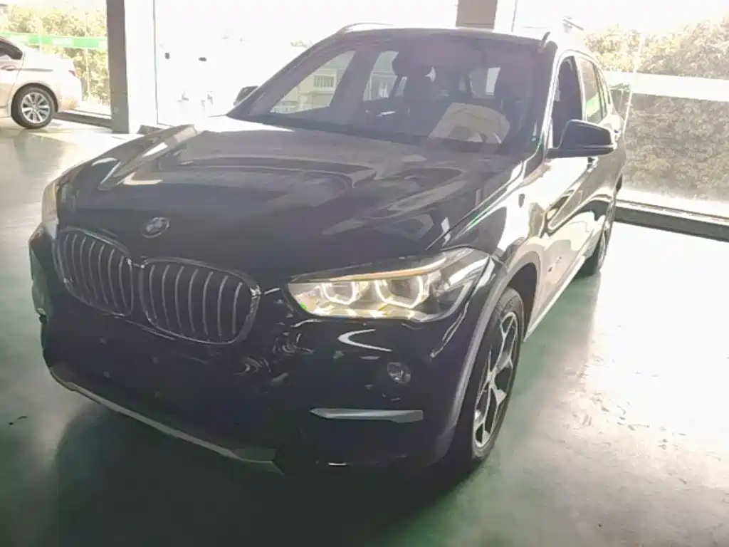 BMW X1 — фото 2