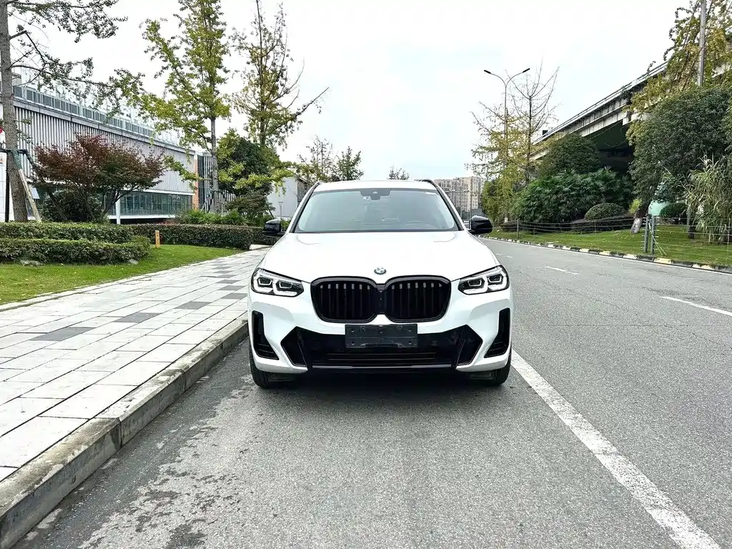 BMW X3 — фото 2