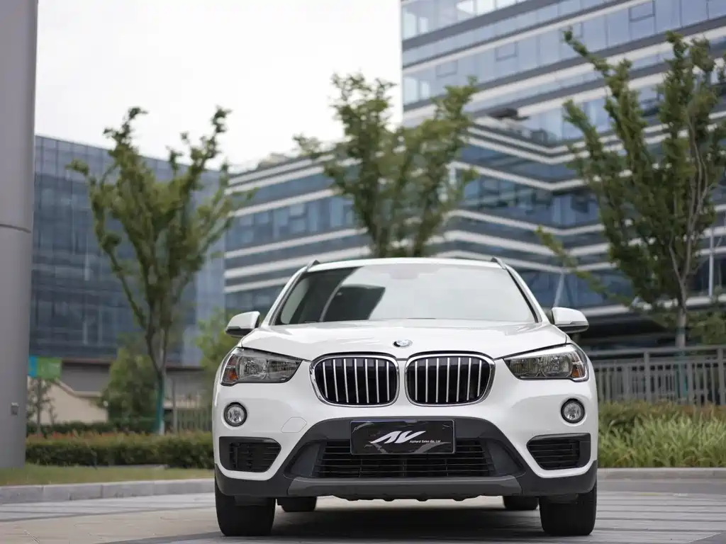 BMW X1 — фото 2