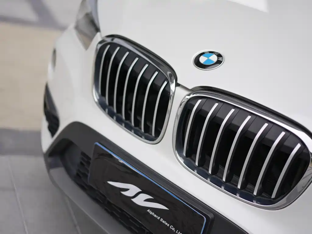 BMW X1 — фото 13