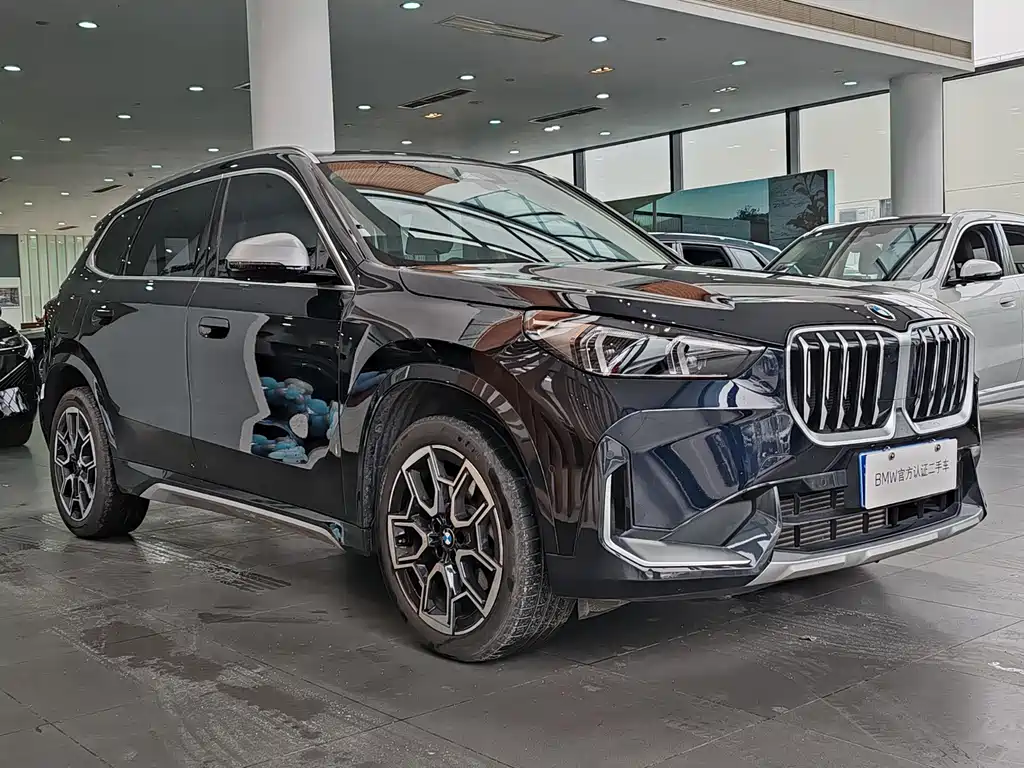 BMW X1 — фото 3