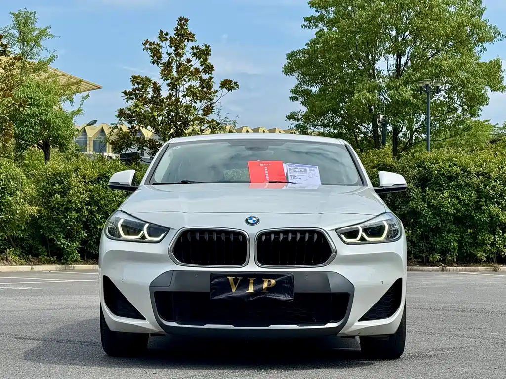 BMW X2 — фото 2