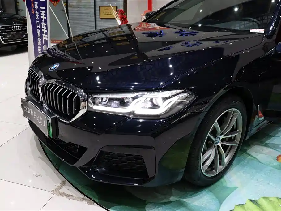 BMW 5 Series New Energy — фото 25