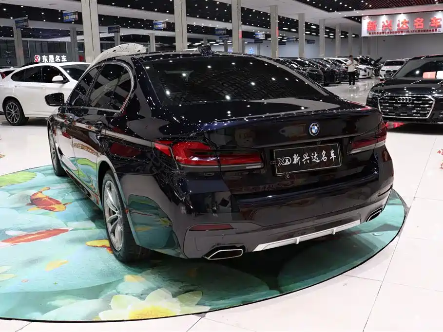 BMW 5 Series New Energy — фото 4