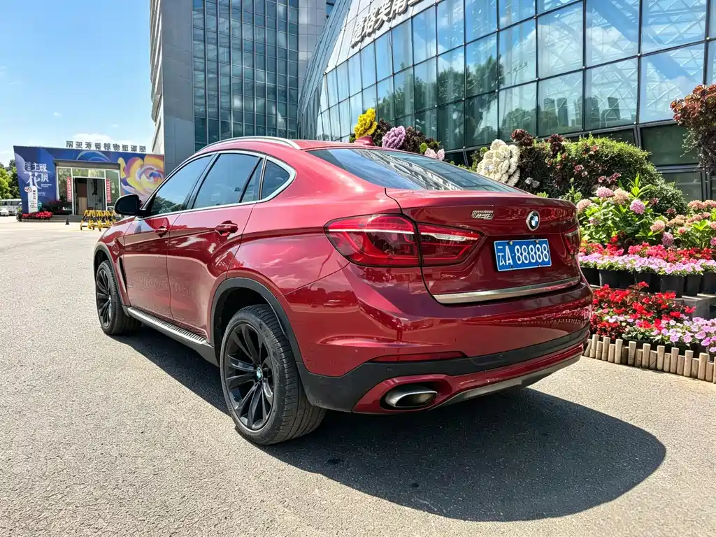 BMW X6 — фото 20