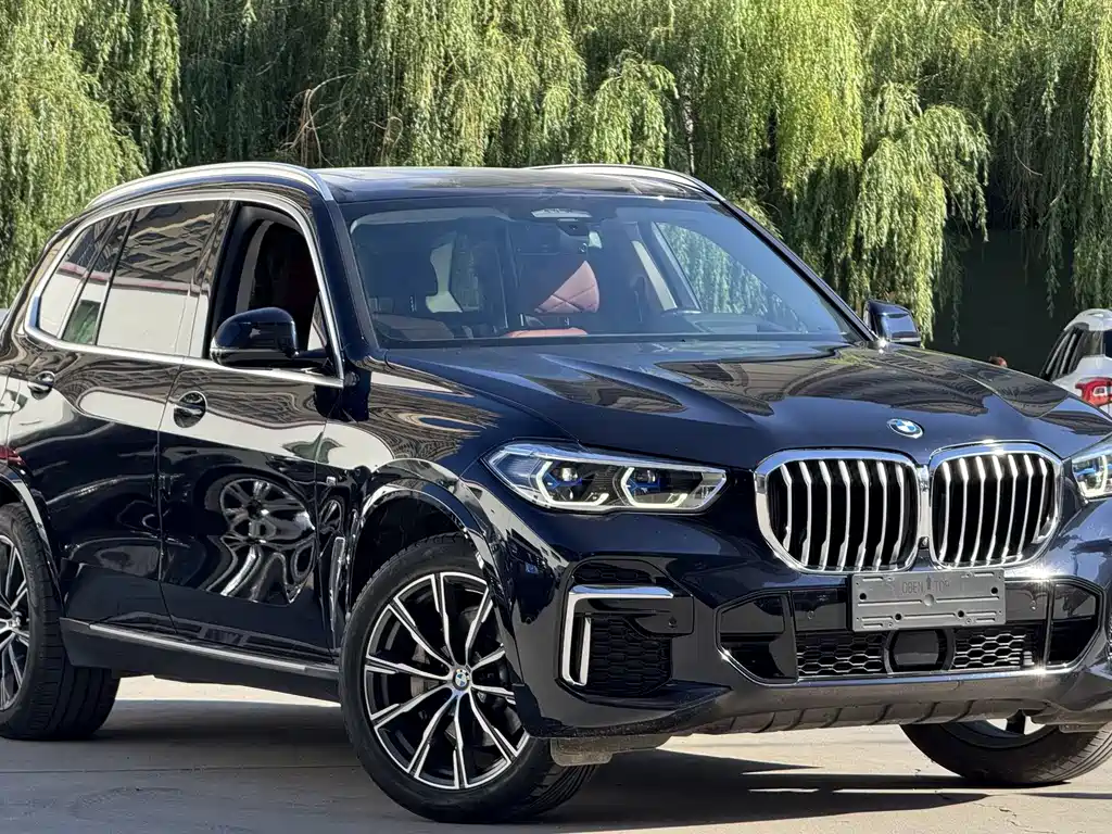 BMW X5 — фото 3