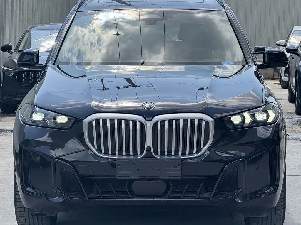 BMW X5 — фото 4